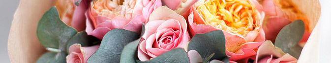 купить цветы США от Grand-flora